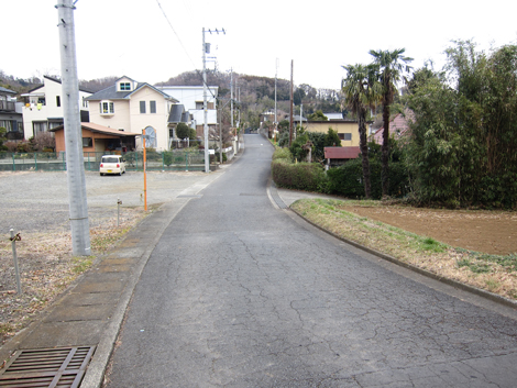 20190214hike (382)